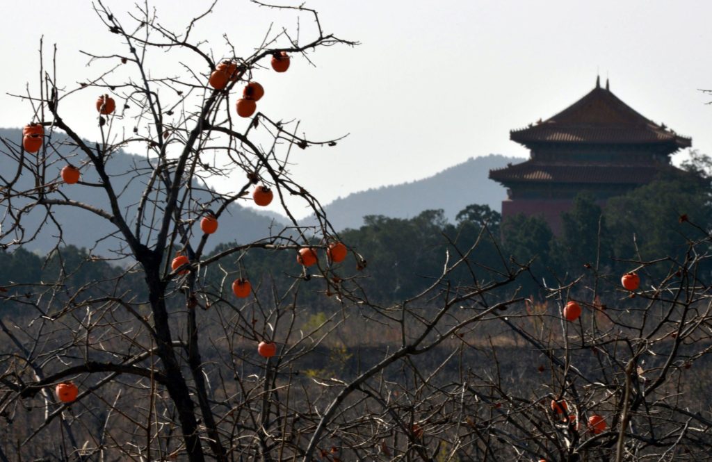 the Ming Dynasty Tombs in Changping District, on the outskirt of Beijing. AFP PHOTO / STR