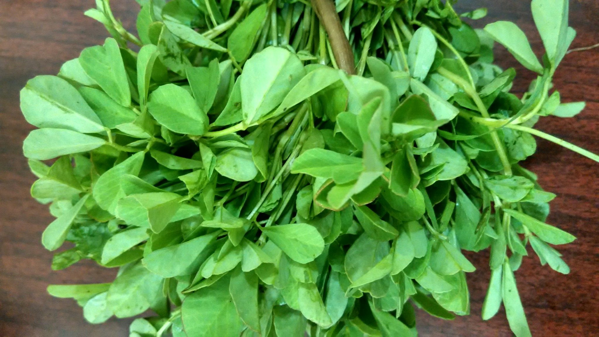 aesthetic_bunch_of_fenugreek_greens